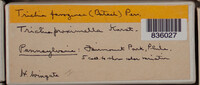 Image Associated With the Occurence